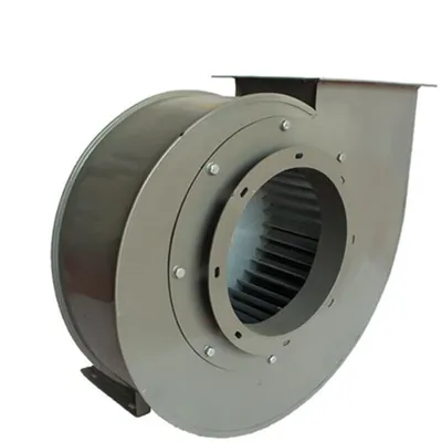 SALYANGOZ FAN (ÜFLEME)